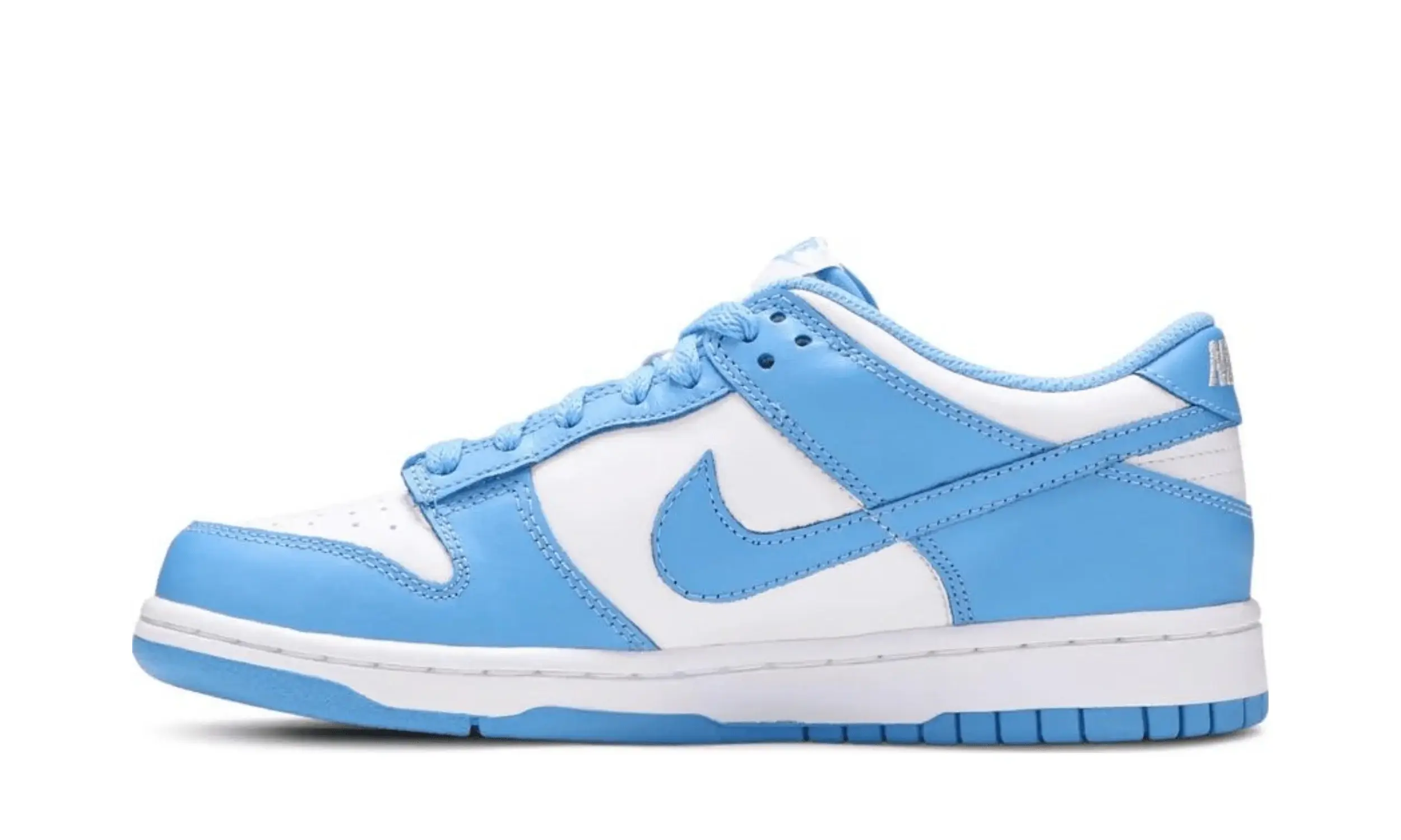 Nike Dunk Low UNC