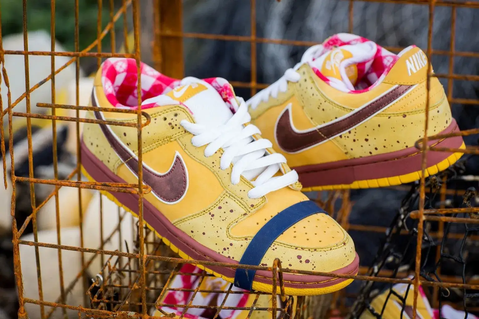 Nike Dunk SB Low Yellow Lobster
