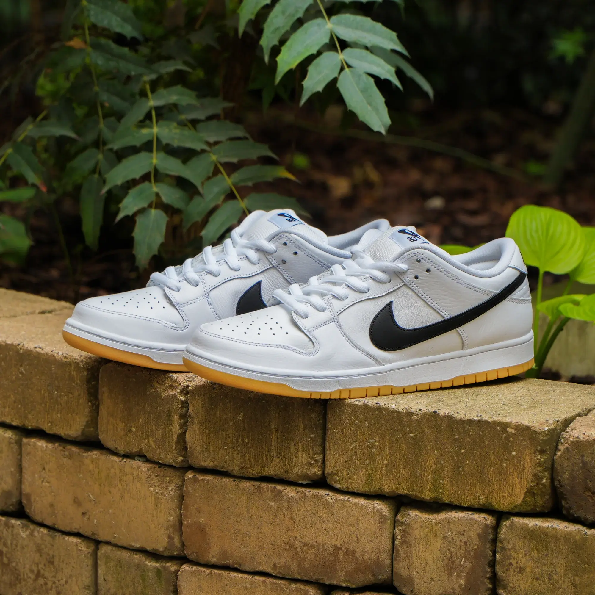 Nike Dunk Sb White Gum